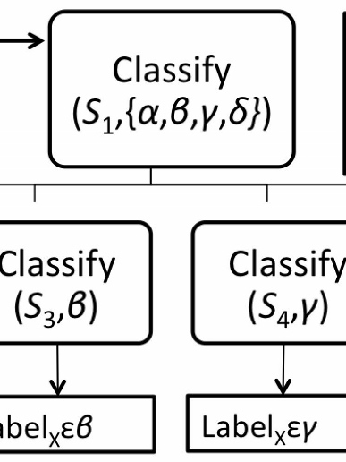 classification